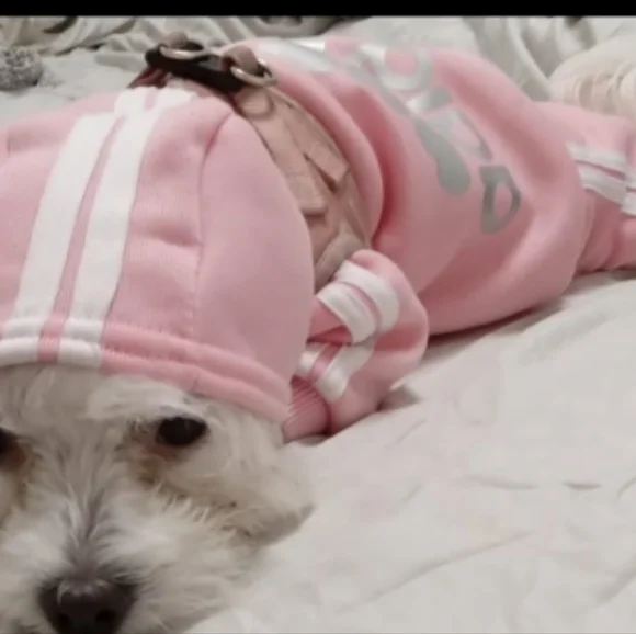 Dogs Hoodies Fleece Warm Dog Clothes - Picture 9 of 11